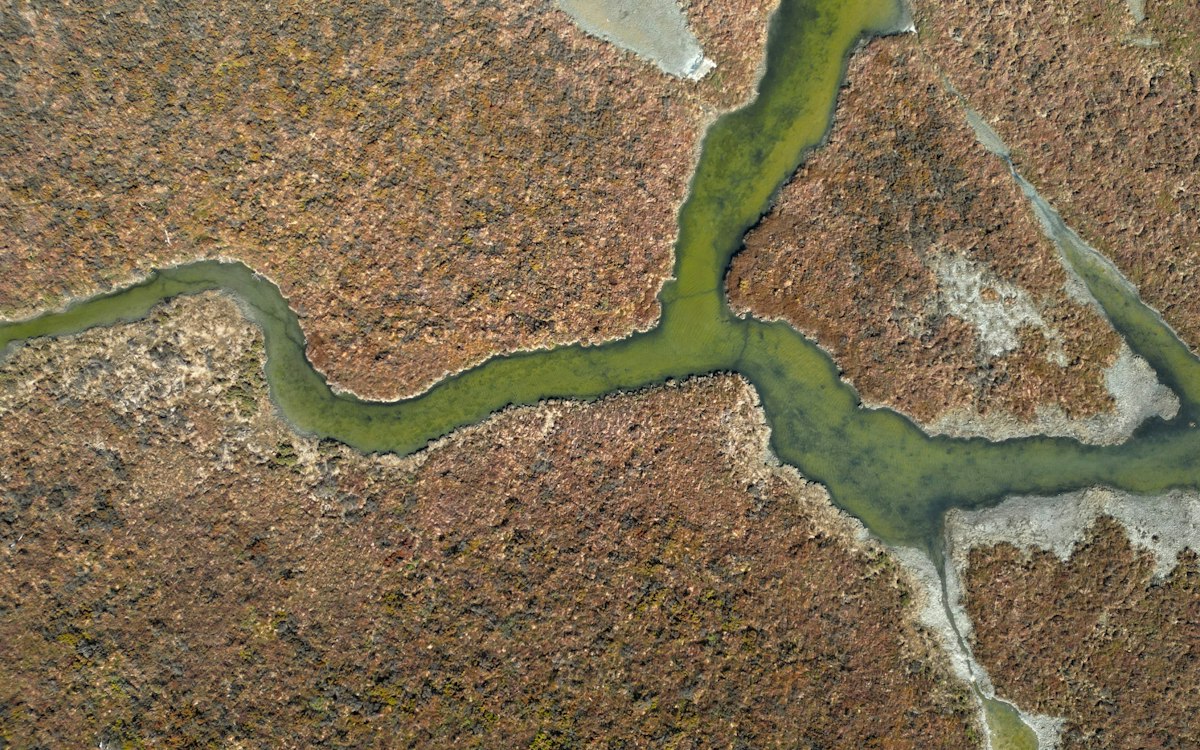 Vista aérea de un arroyo serpenteante entre matorrales